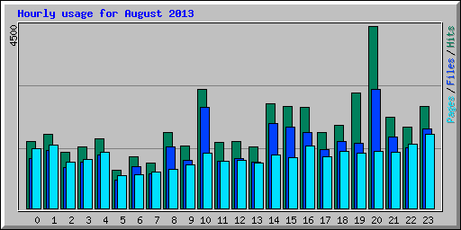 Hourly usage for August 2013