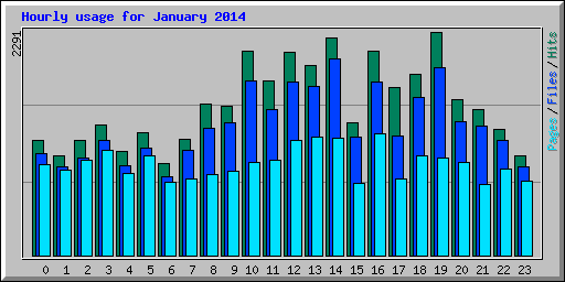 Hourly usage for January 2014
