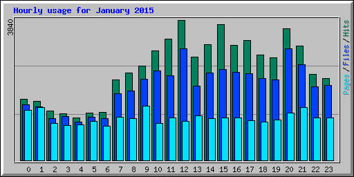 Hourly usage for January 2015