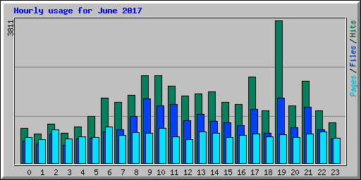Hourly usage for June 2017